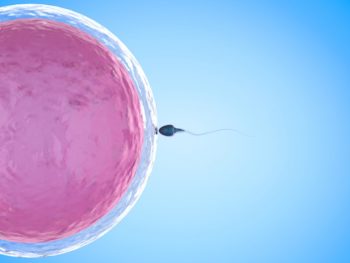 Sperm comes into contact with an ovum. 